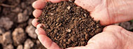 エコアドバンス　貝殻・海草を良質な肥料にする